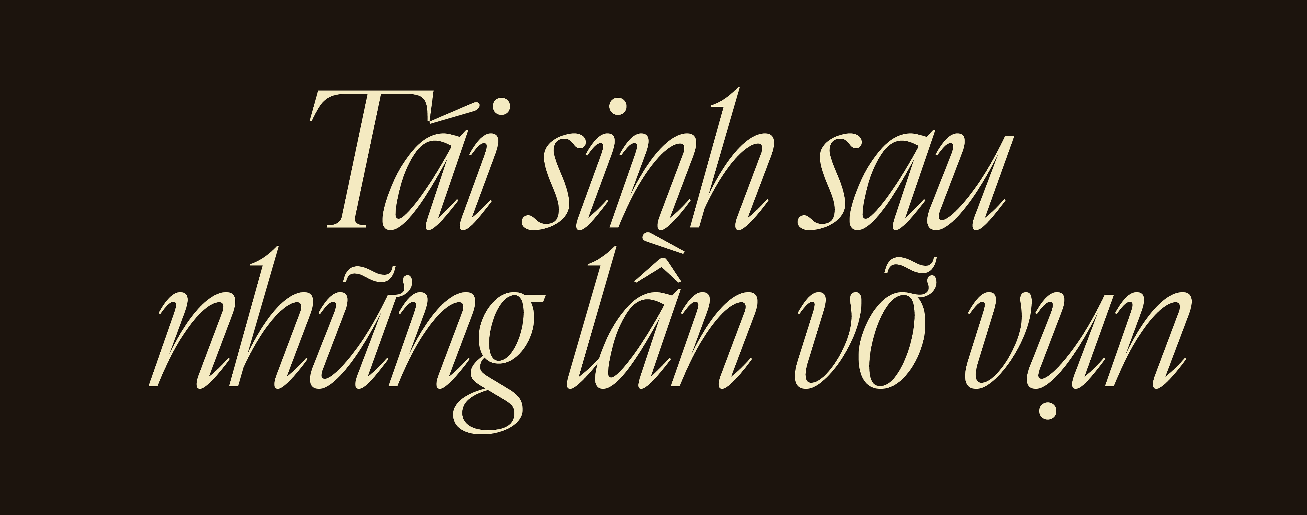 Hinh anh Trò chuyện với Chi Pu: Một hiện thân của "Dáng nữ trong miền ánh sáng" 20
